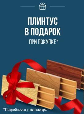 Плинтуса в подарок!