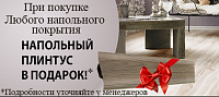 Плинтуса в подарок! Плинтуса в подарок!