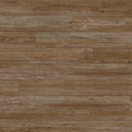 Moduleo Сосна Latin Pine 24852