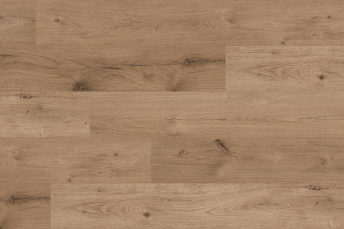 Kaindl Masterfloor 8.0 Standard Plank Oak Ferrara Wildlife K2142 AV