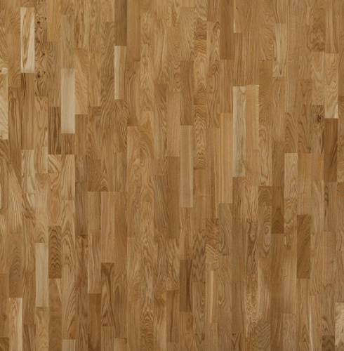 Focus Floor Дуб Глосси без отбора