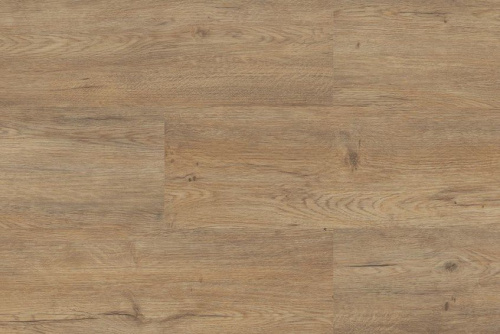 Vinyline Oak St. Gallen