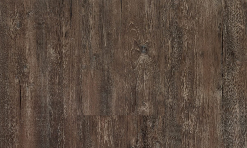 Progress 202 Oak Brown Smoked