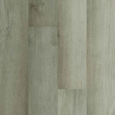 Home Expert 69W906 Дуб Баварский лес градиент