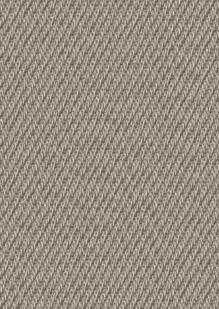Bolon Champagne