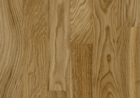 Focus Floor Дуб Глосси без отбора