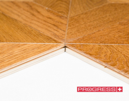 Progress Рютли