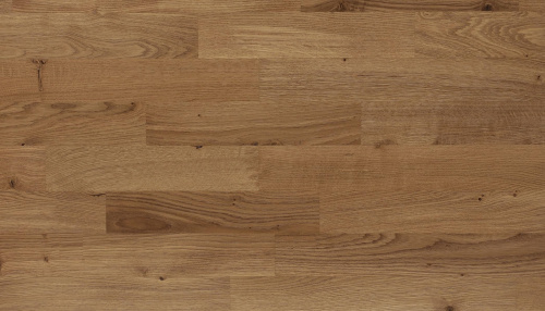 Polarwood Oak Native