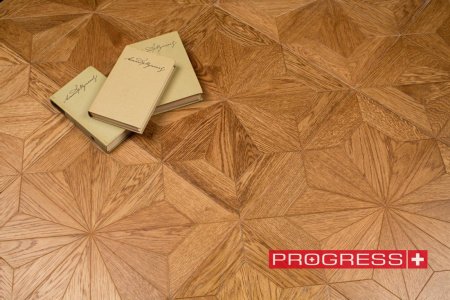 Progress Рютли
