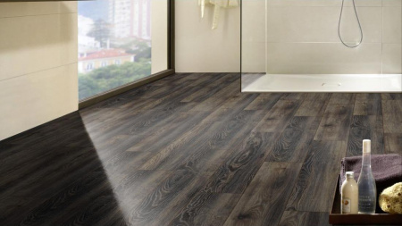 Falquon Canyon Black Oak D3686