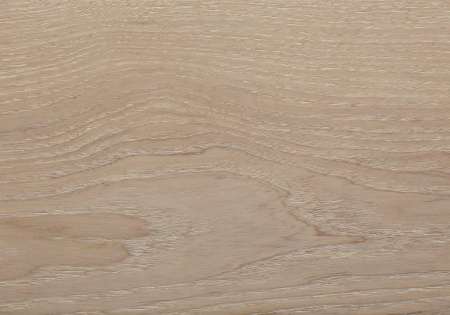 Tenfor Ясень Gray Sand