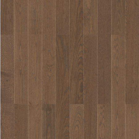Timber Дуб Торнадо