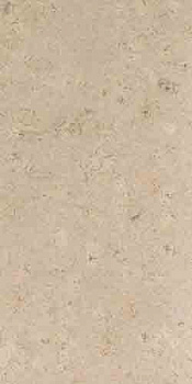 Corkart CM3 319v CN