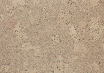 Amorim Wise Personality Champagne