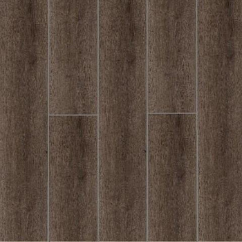 Timber Soulby