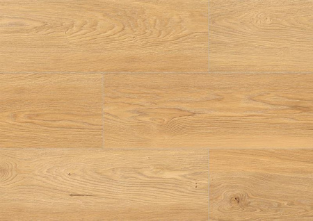 Micodur Gold Oak