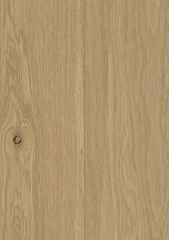 Wicanders WOOD Parquet RW04451 Дуб Джерси