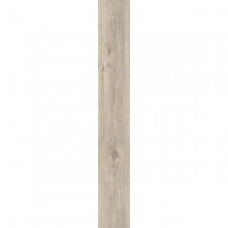 Moduleo Sierra Oak 58239