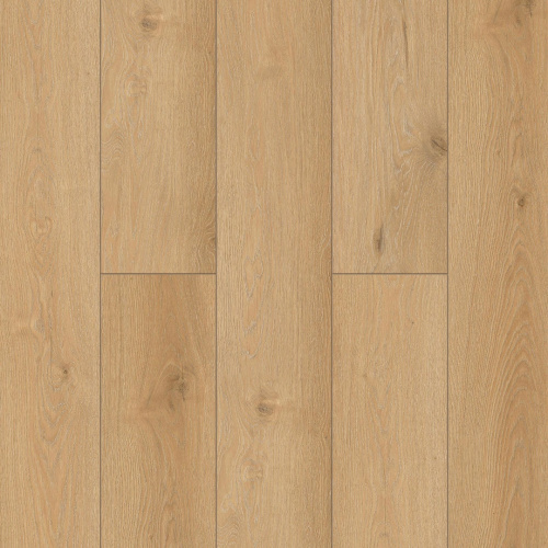NatisSton Leger Begna 5001-10