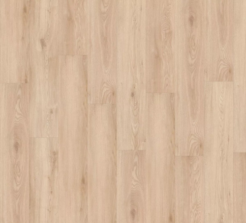 Adelar Chapman Oak 05321