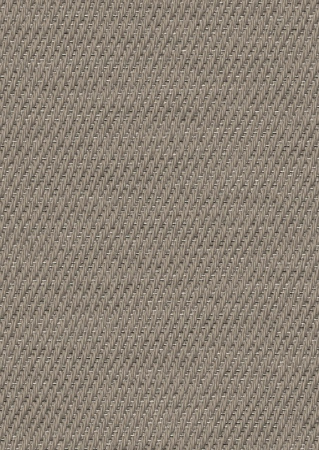 Bolon Cilia