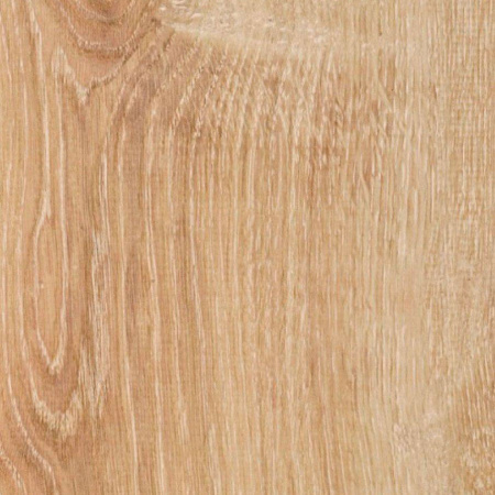 Homflor Strong Canaries Oak 621