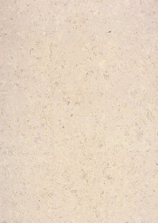 CorkStyle Madeira White
