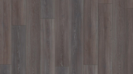 Kronotex Дуб Стирлинг D2804