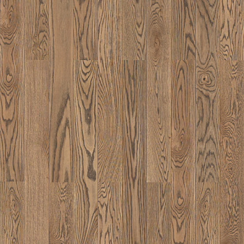 Timber Дуб Трамонтана