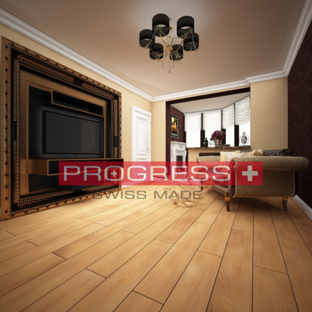 Progress Сен-Бернар