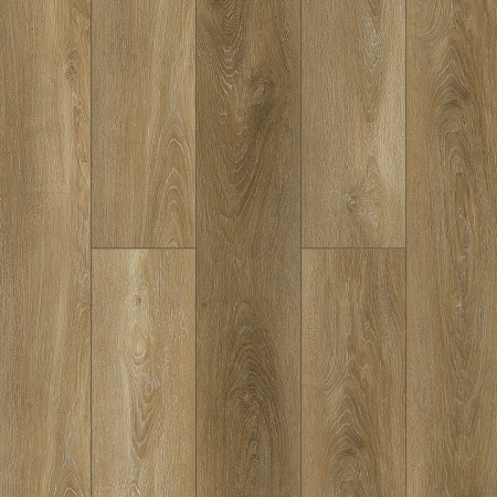 NatisSton Leger Gaula 5001-11