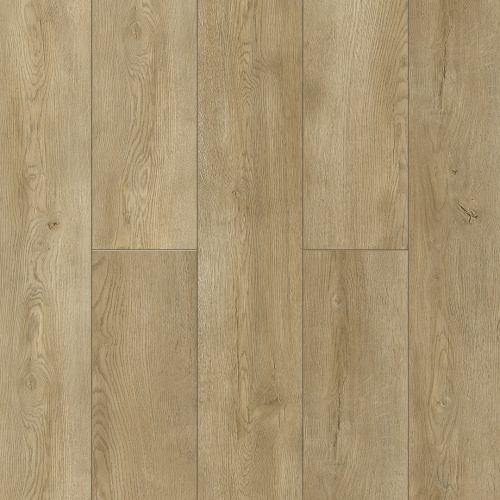NatisSton Leger Eclipse 5001-03