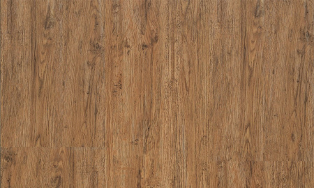 Progress 249 Oak France