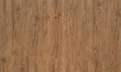 Progress 249 Oak France