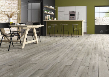 Homflor Strong Long Island 536