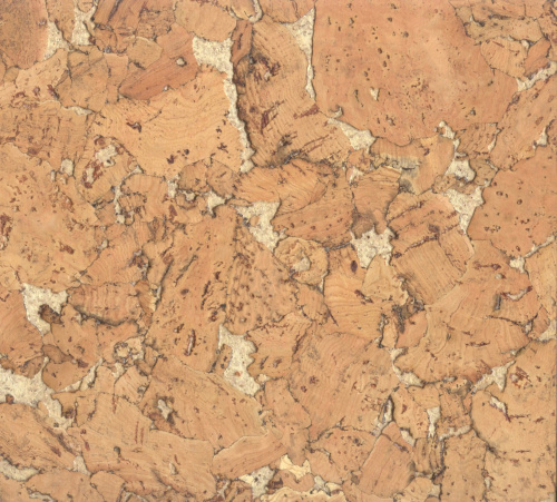 Corksribas Condor Beige