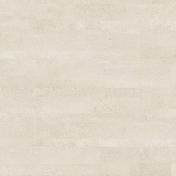 Amorim Wise Identity Moonlight