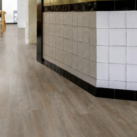 Moduleo Сосна Latin Pine 24852