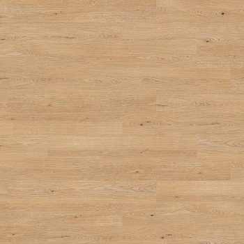 Amorim Wise Natural Light Oak