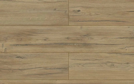 Kronopol Condor Oak D40254