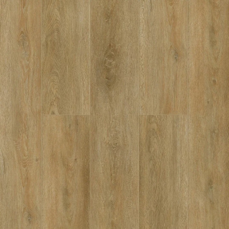 Tulesna Verano Alcmena 1002-18