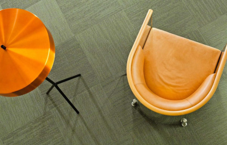 Bolon Ocular