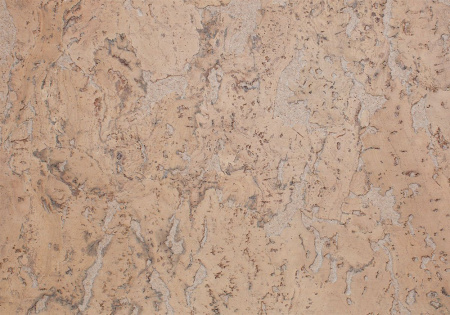 Amorim Wise Stone Art Oyster