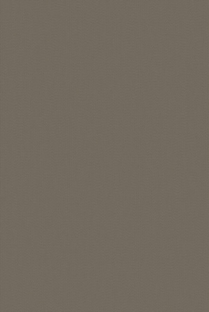 Bolon Sisal Plain Mole