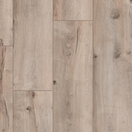 Palitra Oak Lozano