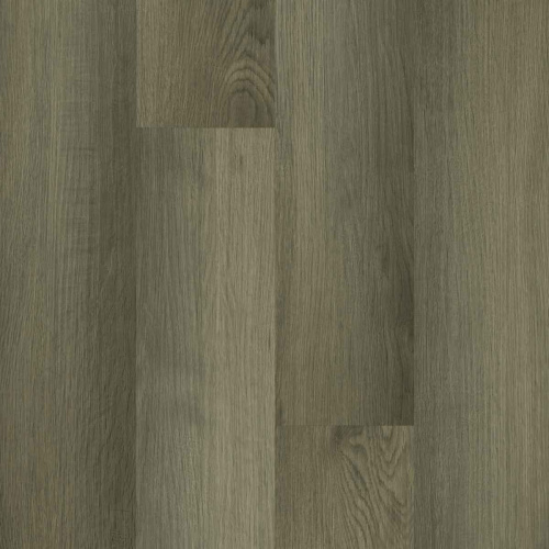 Home Expert 0-005 Дуб Древний лес градиент