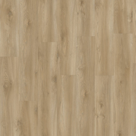 Moduleo Sierra Oak 58847