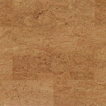 Amorim Wise Originals Symphony