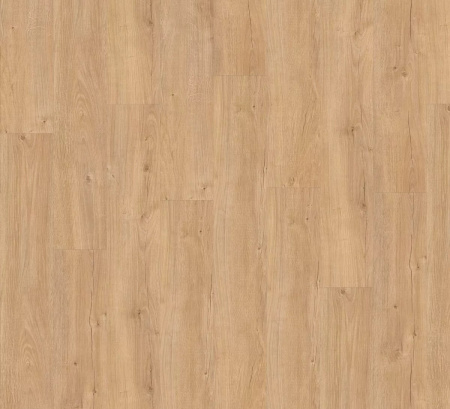 Adelar Sebastian Oak 05325
