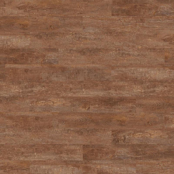 Amorim Wise Barnwood